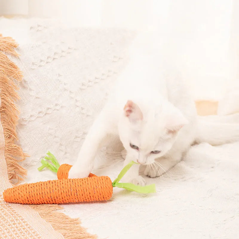 Cat toy set with plastic biting rings, textured grinding sticks, paper carrots, and extended play sticks