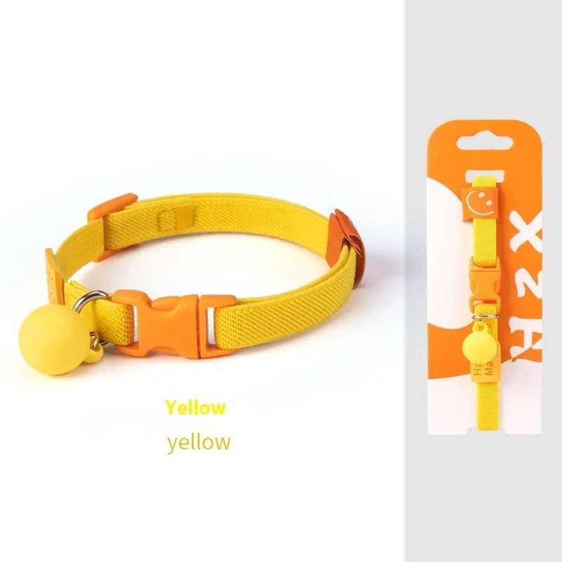 Small dog wearing a stretchy polyester pet collar in a choice of seven colours.