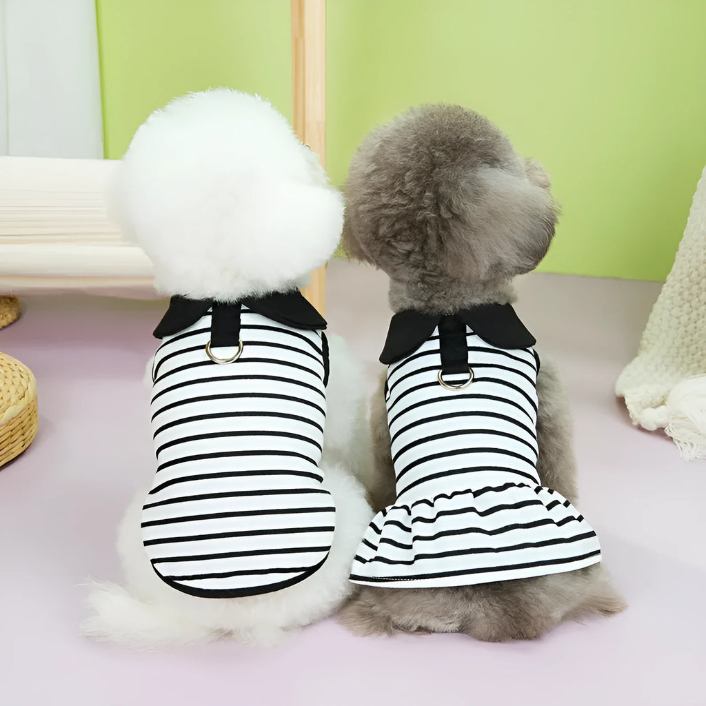 Pet wearing coordinated cotton T-shirt and skirt set with stripe pattern