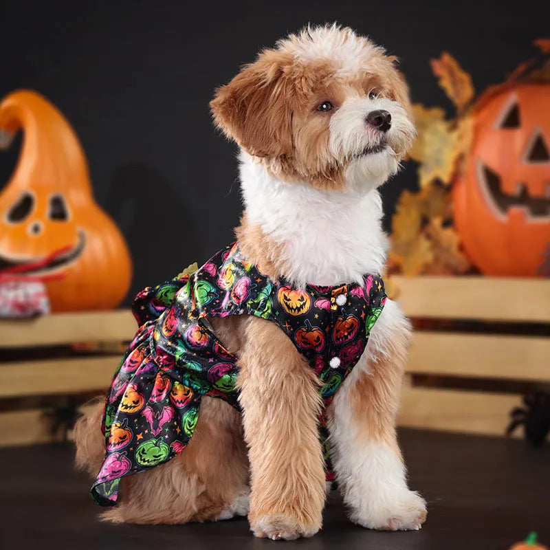 Halloween dog costume with angel wings in bright pumpkin or bright bat colours