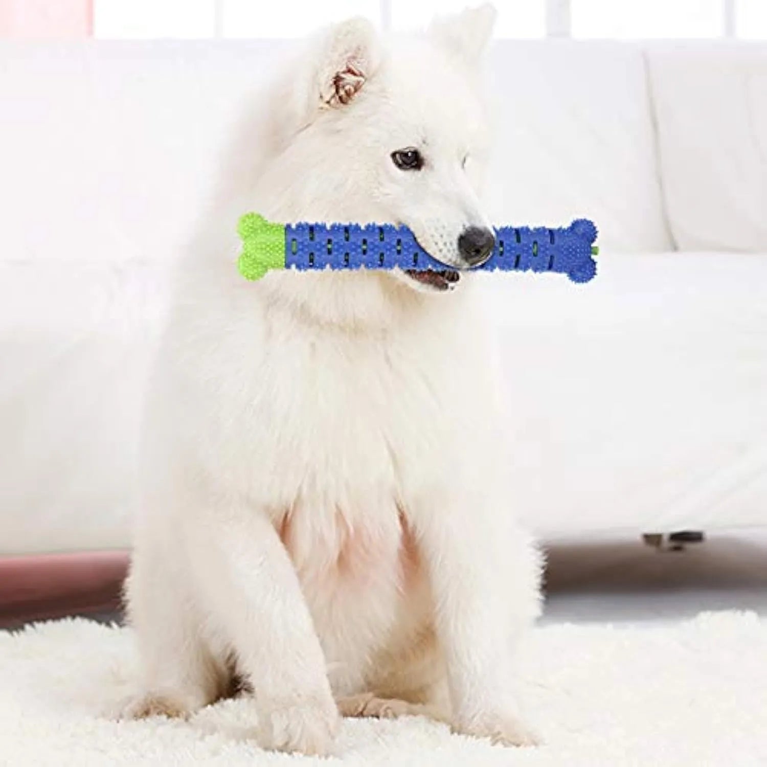 Blue green dog toothbrush chew toy with serrated cleaning head and gum massage nodules