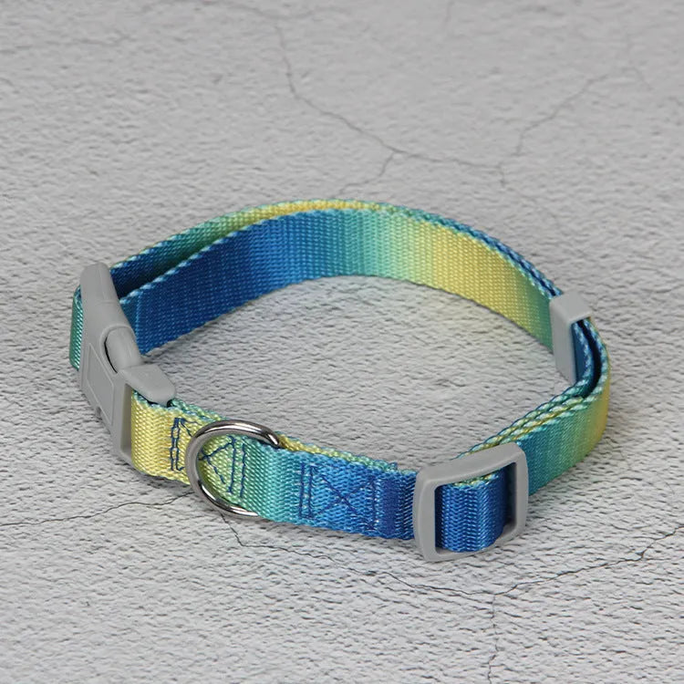 Nylon dog leash set with collar and harness in a pink and blue gradient colour.