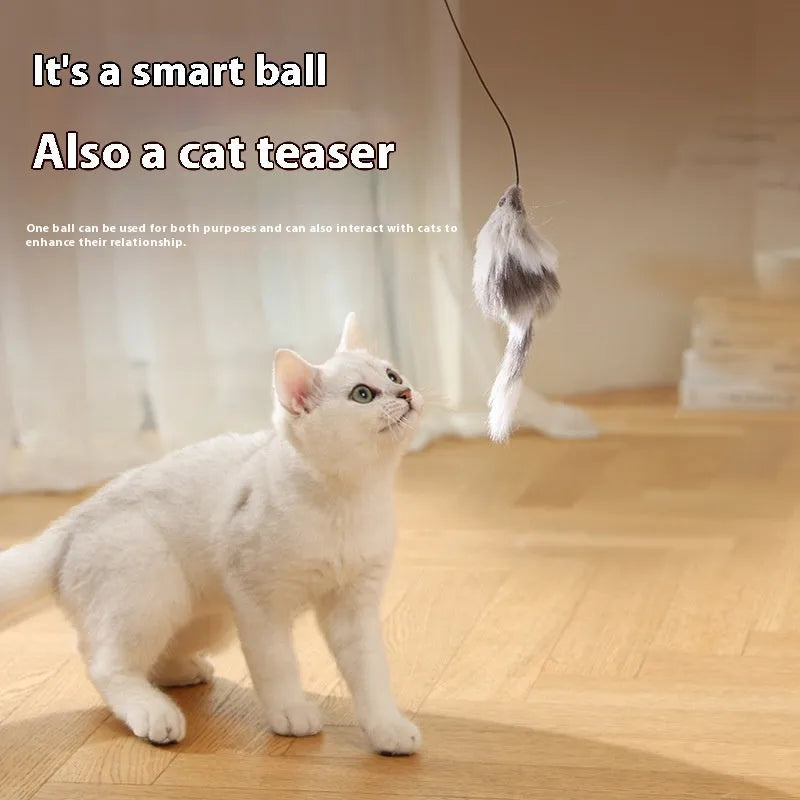 Automatic cat teasing ball with plush mouse in blue orange and dark grey colours