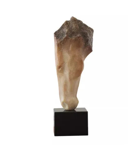 French retro abstract horse head desktop sculpture with carving finish, 50cm tall