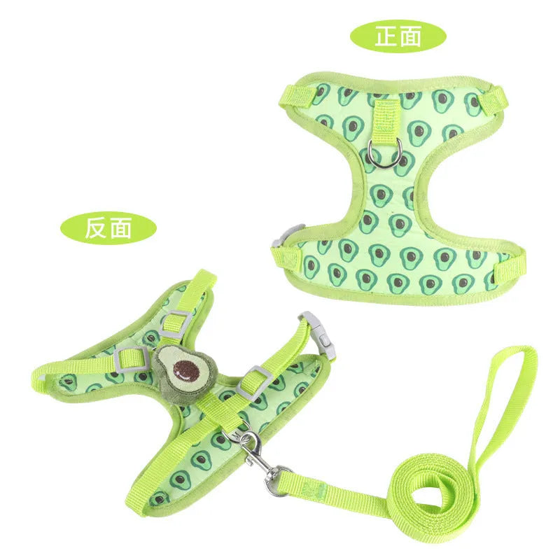 Reflective chest strap vest-style small dog walking lead in carrot colour with adjustable hand-holding rope
