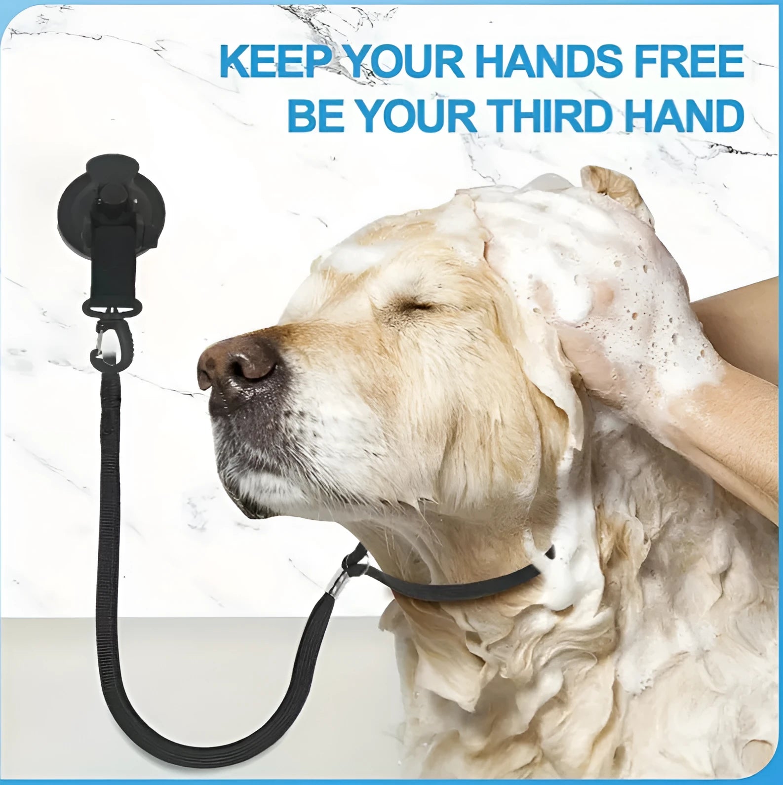Pet bathing restraint kit with suction cups and traction ropes for dog washing