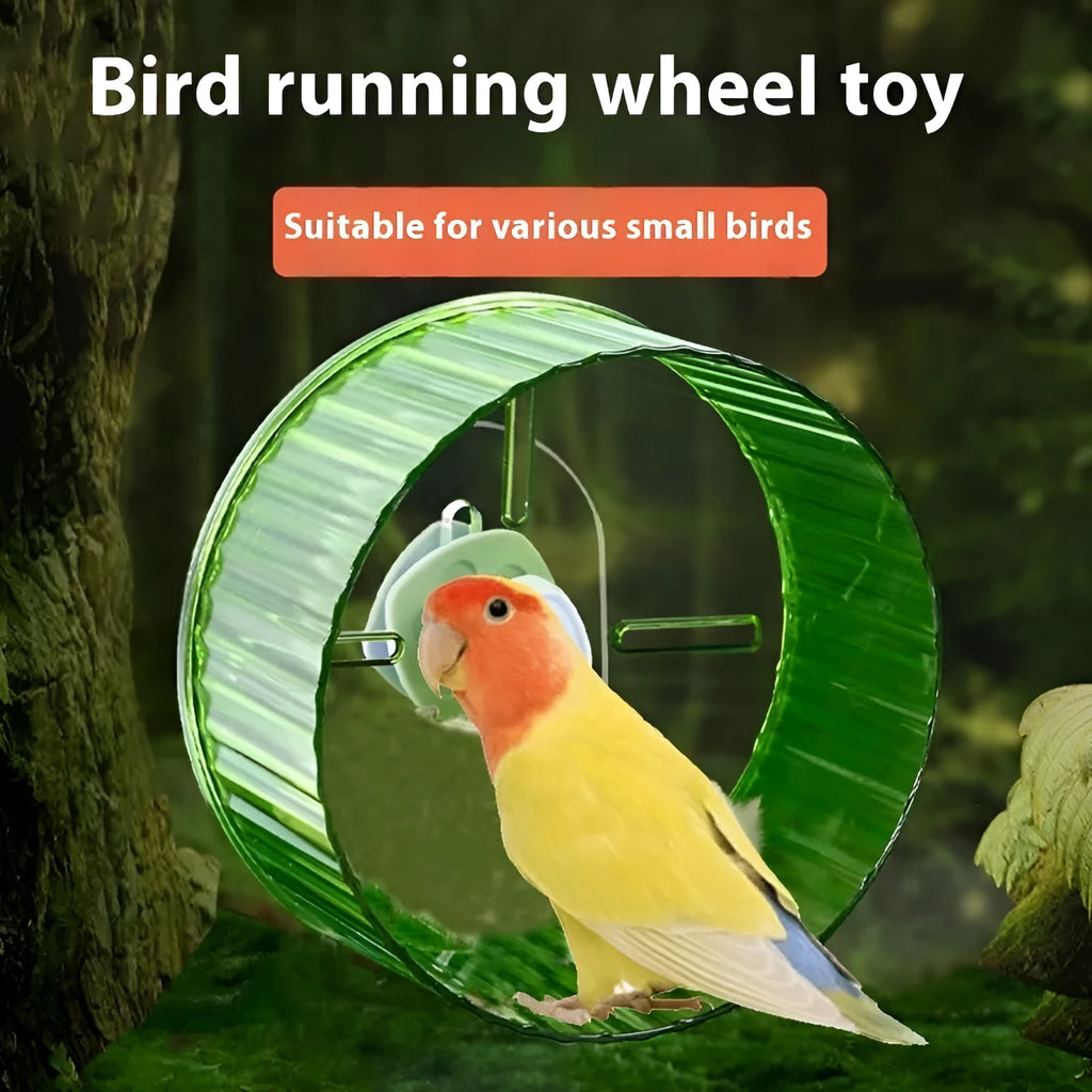 Plastic parrot wheel running toy in green colour, showing the rotating treadmill design for bird exercise.