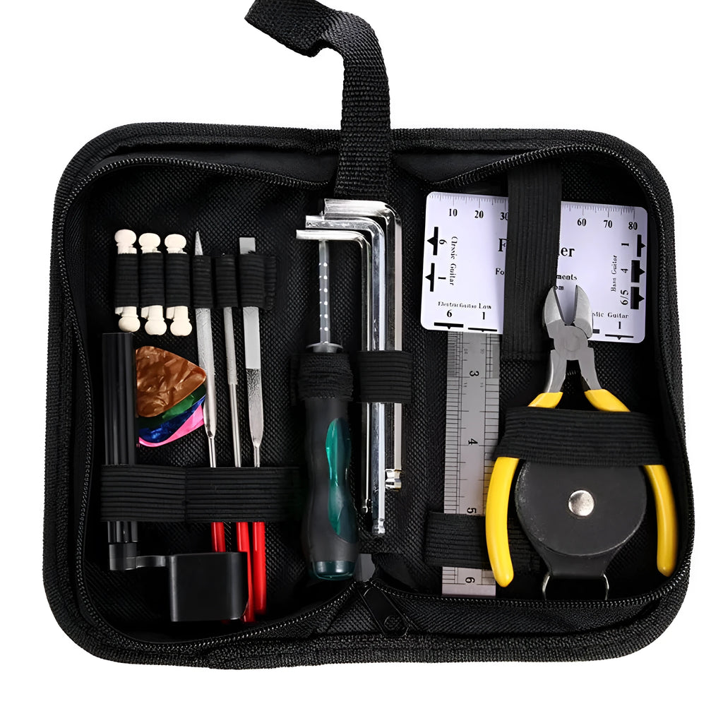 Black plastic toolbox containing a guitar repair and maintenance tool kit for guitar, bass, mandolin, and banjo.