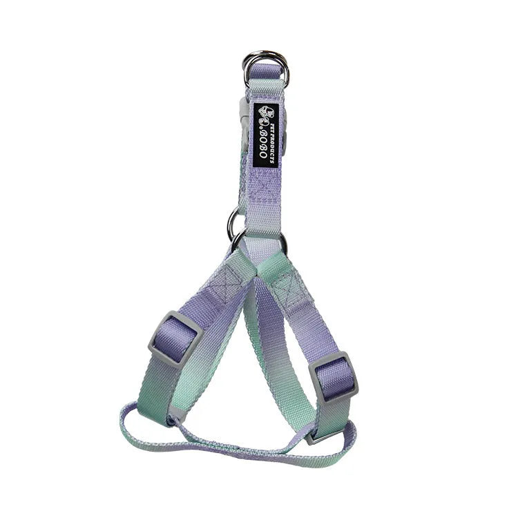 Nylon dog leash set with collar and harness in a pink and blue gradient colour.