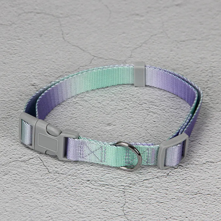 Nylon dog leash set with collar and harness in a pink and blue gradient colour.