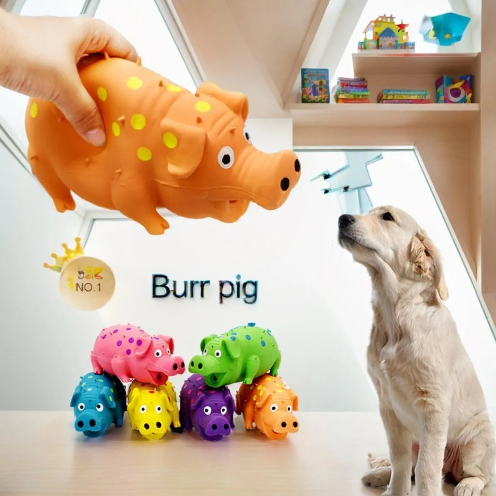 Latex pig squeaky dog chew toy for aggressive chewers with dental cleaning surface