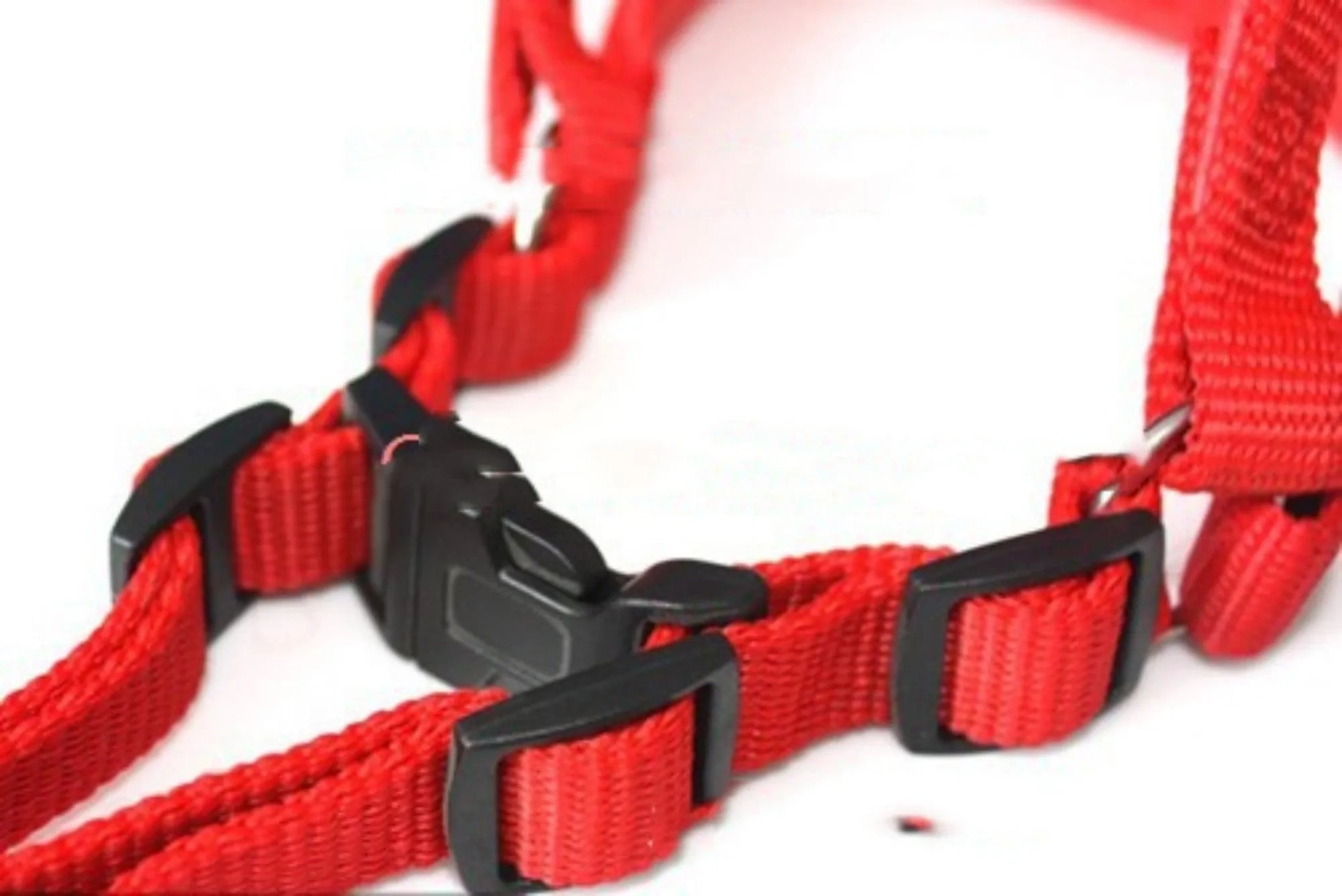 Soft lining polypropylene foam pet harness traction belt in blue with nylon chest strap and metal ring