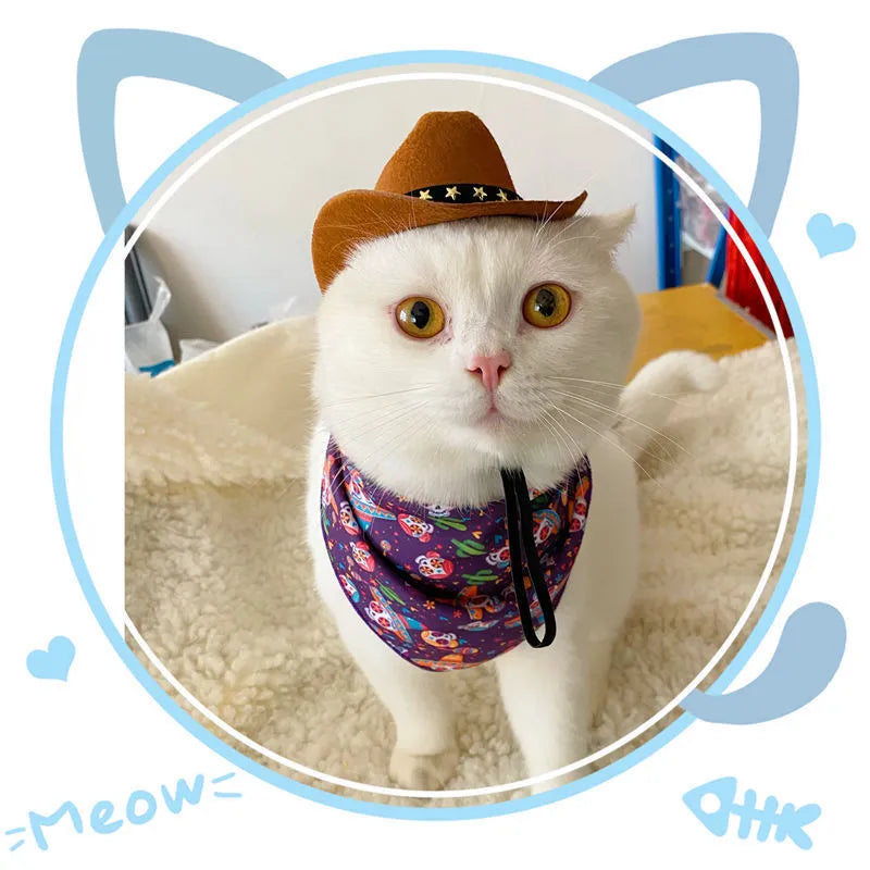 British-style brown cowboy hat for a cat with a black ribbon trim on a white background.