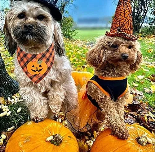 Orange and white Halloween dog plaid bandana with pumpkin and skeleton appliqués