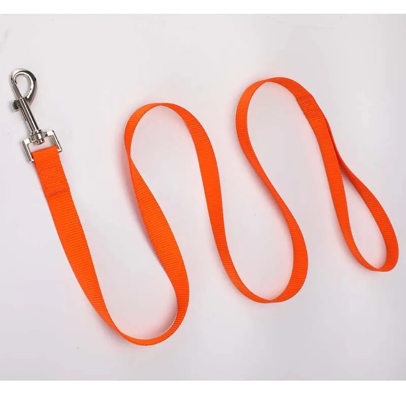 Solid colour polyester dog lead with hand-holding rope design shown in blue colour option