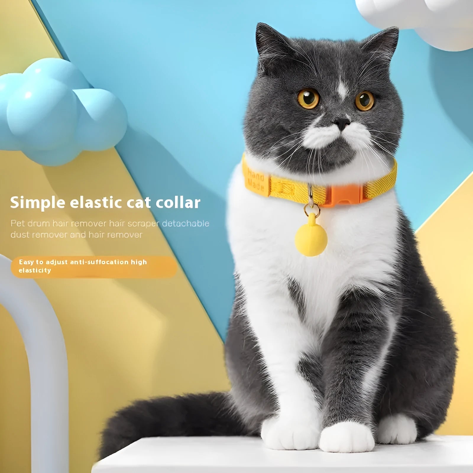 Small dog wearing a stretchy polyester pet collar in a choice of seven colours.