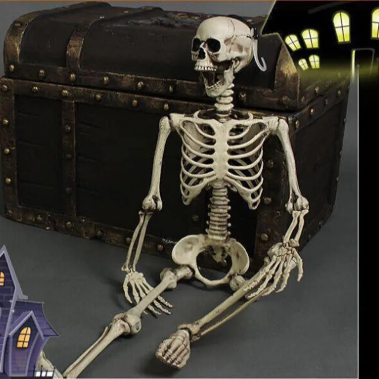 170cm tall plastic skeleton prop with detailed human skull and anatomical bone structure
