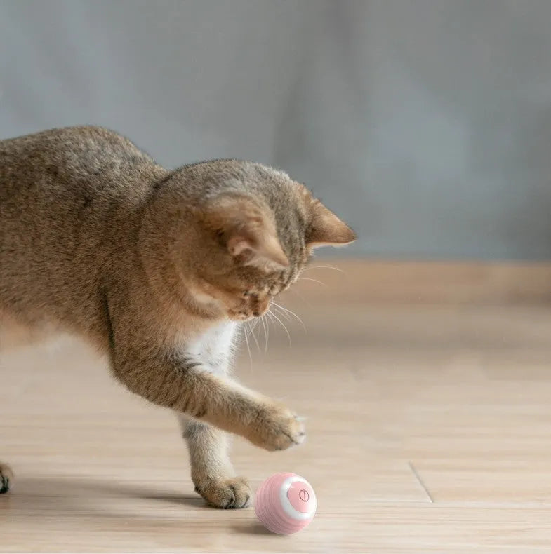 Automatic moving bouncing rolling ball smart cat toy in blue and pink silicone construction