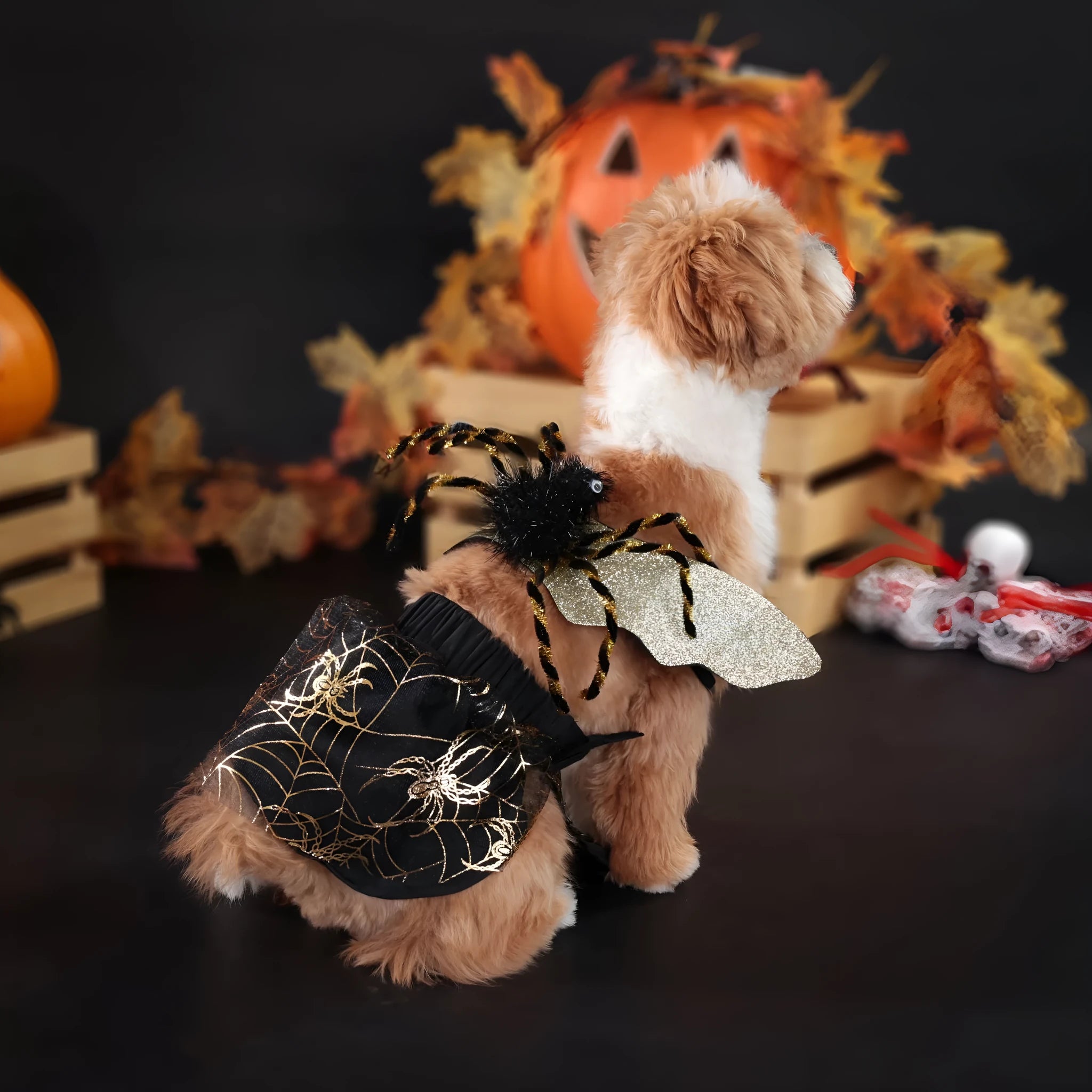 Halloween dog costume suit in polyester fabric available in sizes S, M, L, and XL
