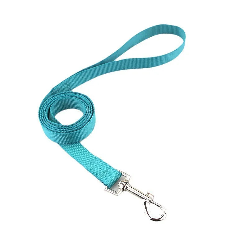 Solid colour polyester dog lead with hand-holding rope design shown in blue colour option