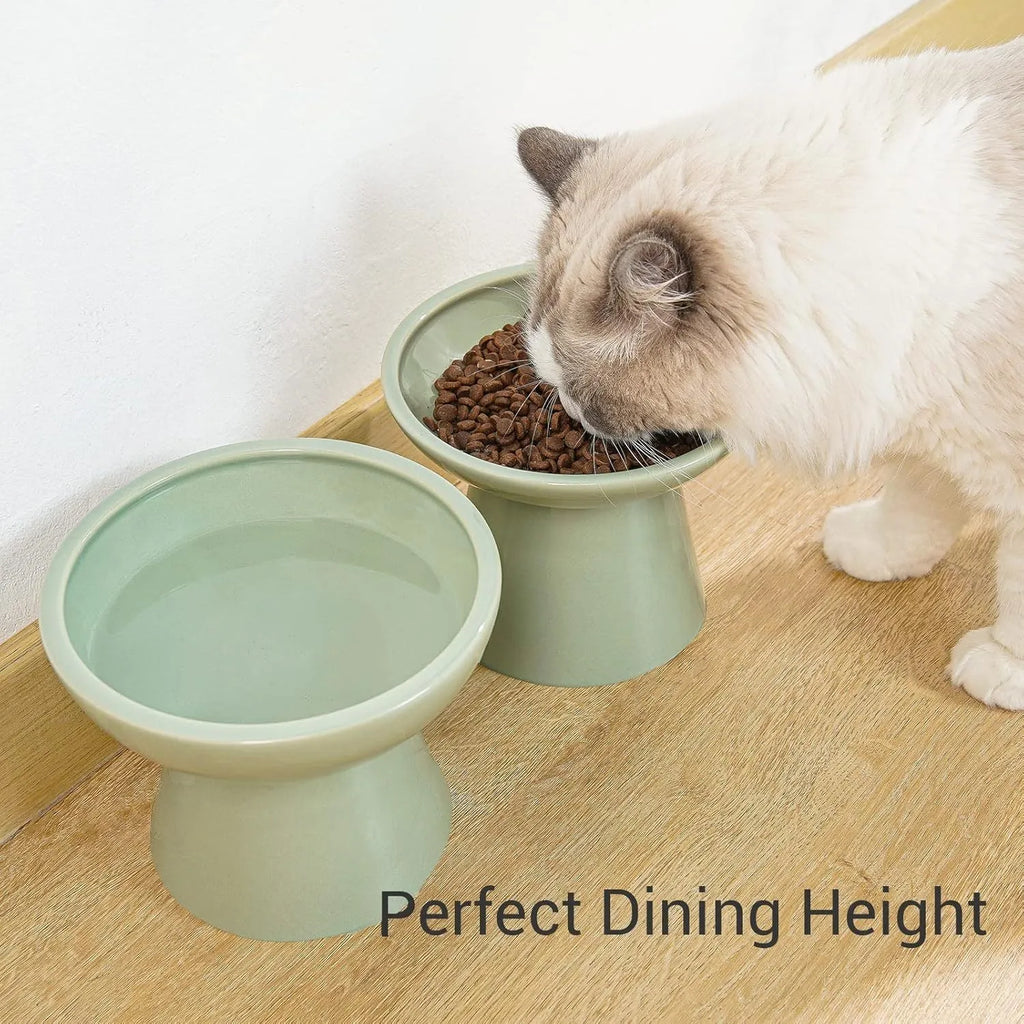 Elevated ceramic cat bowl with wide shallow dish for whisker fatigue prevention