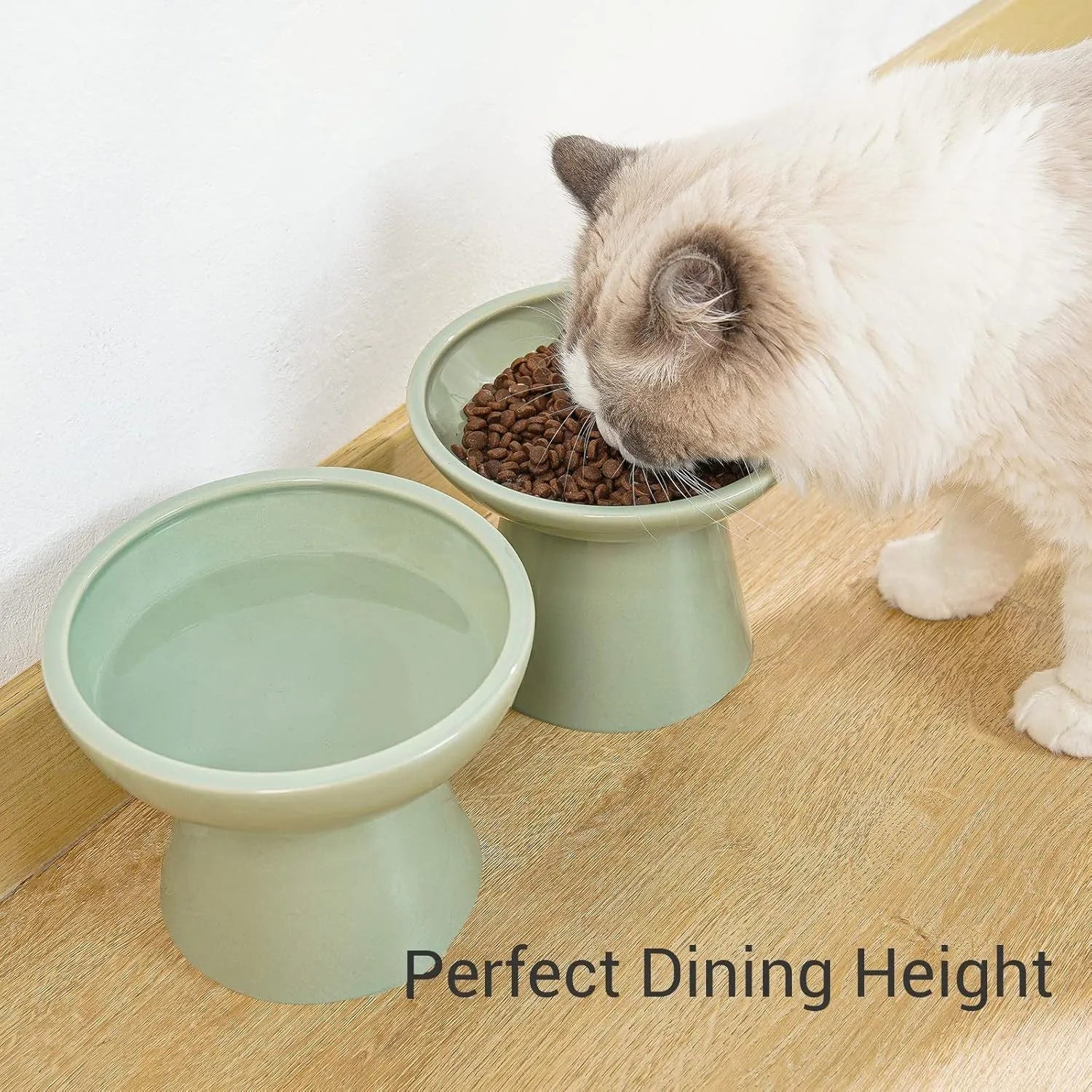 Elevated ceramic cat bowl with wide shallow dish for whisker fatigue prevention