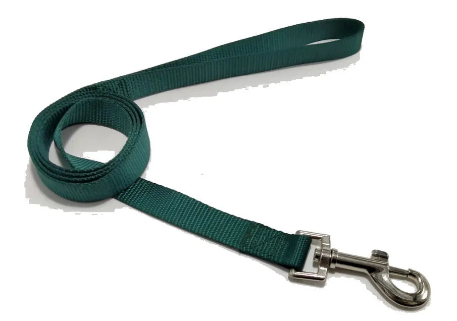Solid colour polyester dog lead with hand-holding rope design shown in blue colour option