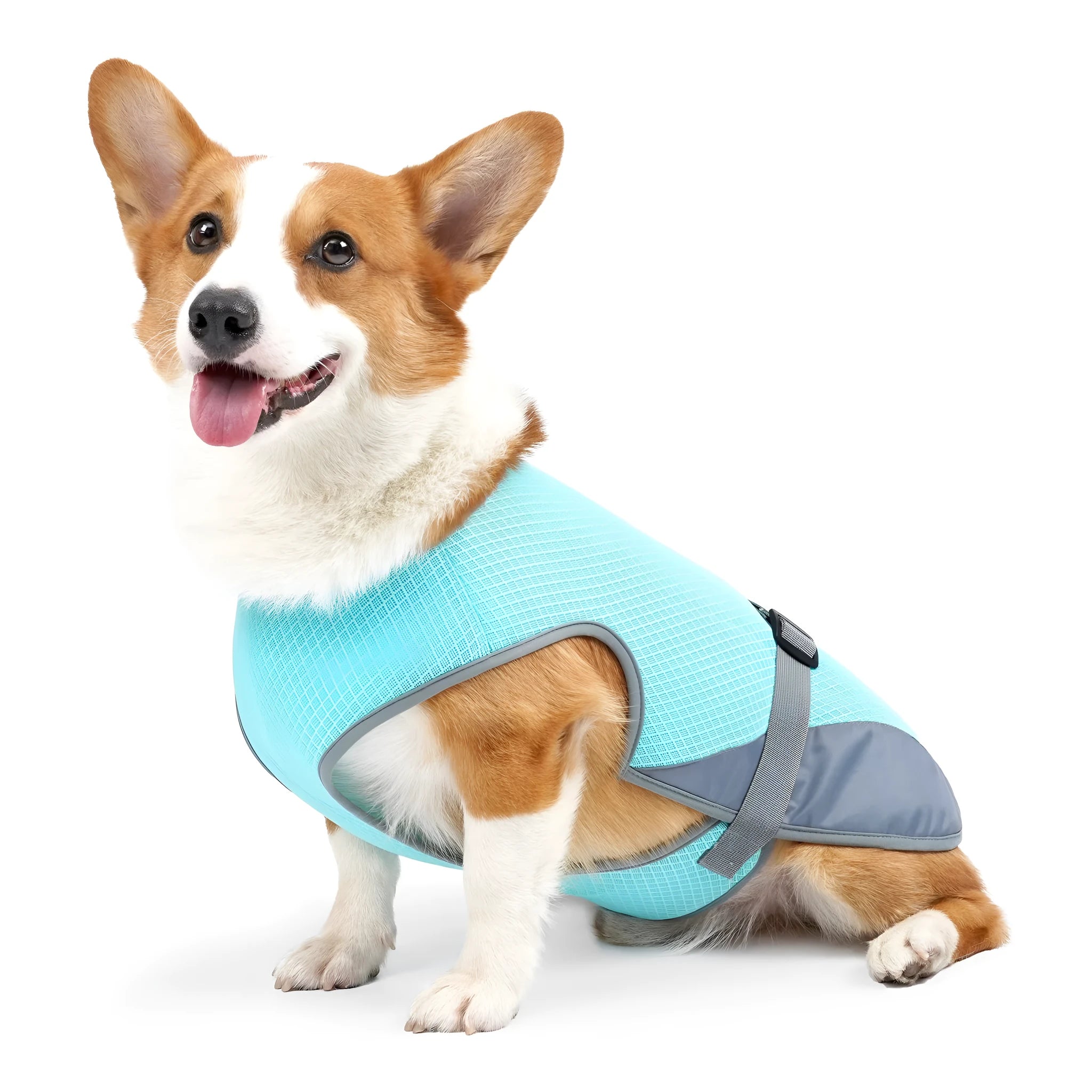 Light grey polyester dog cooling vest for heatstroke prevention on a medium-sized dog.