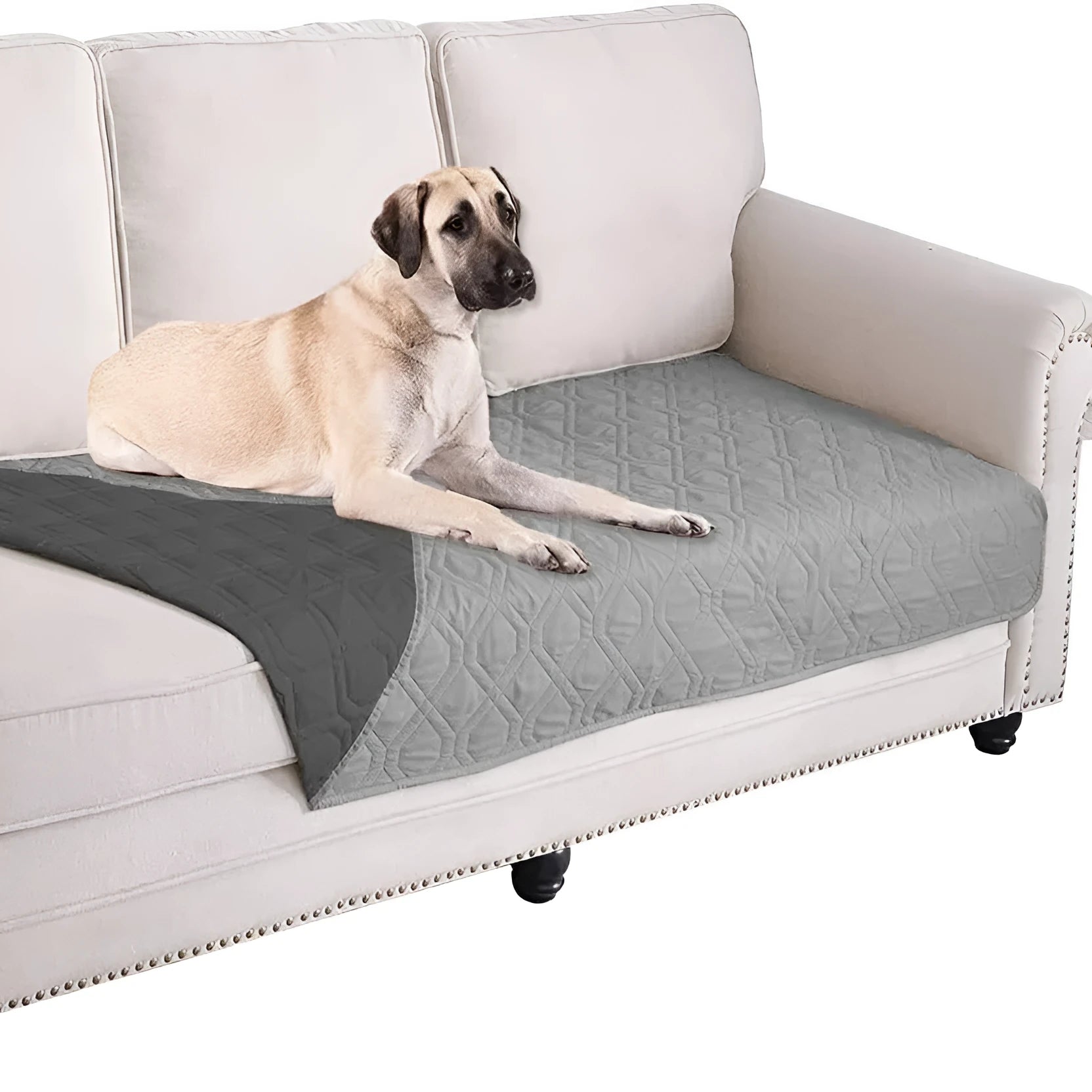 Reversible dog blanket sofa cover in grey and cream colours laid flat on a sofa