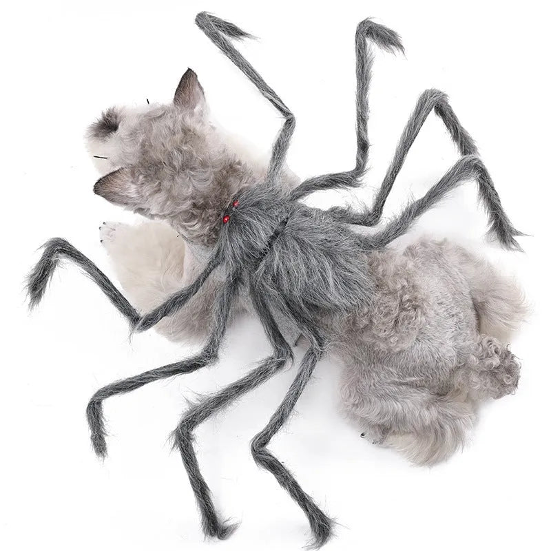 Halloween pet costume with big spider design for dogs and cats in grey, brown, black, purple