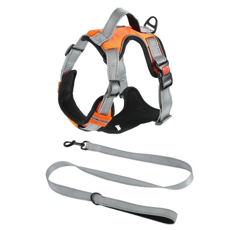 Adjustable polyester dog chest harness in various colours with optional hand holding rope