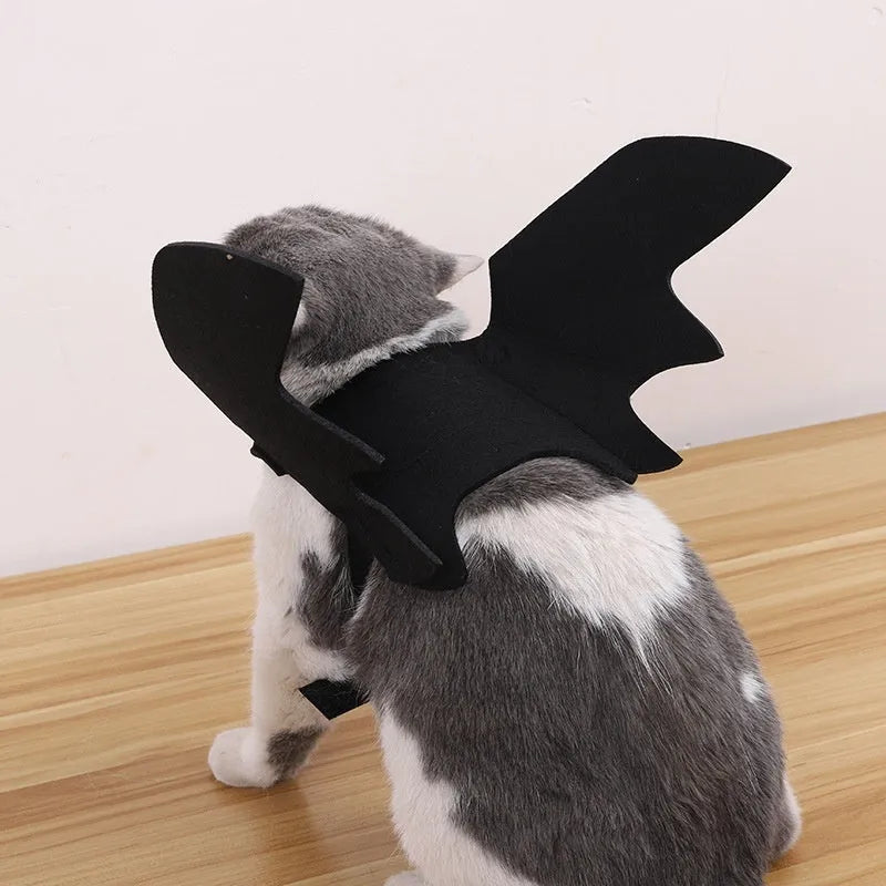 Halloween pet costume set with black wings and bell accessory in felt polyester construction