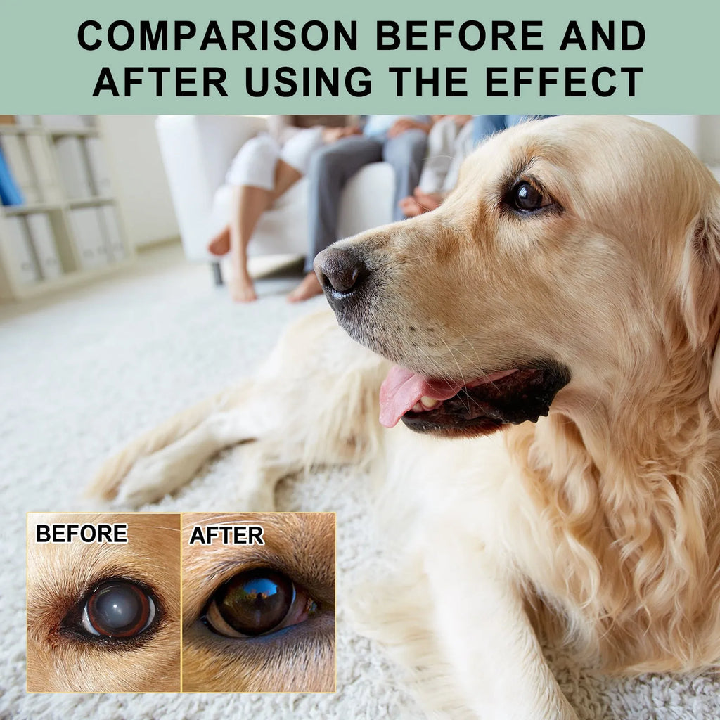 Dogs And Cats Eye Care Eye Drops 100ml bottle with dropper tip for pet eye cleansing