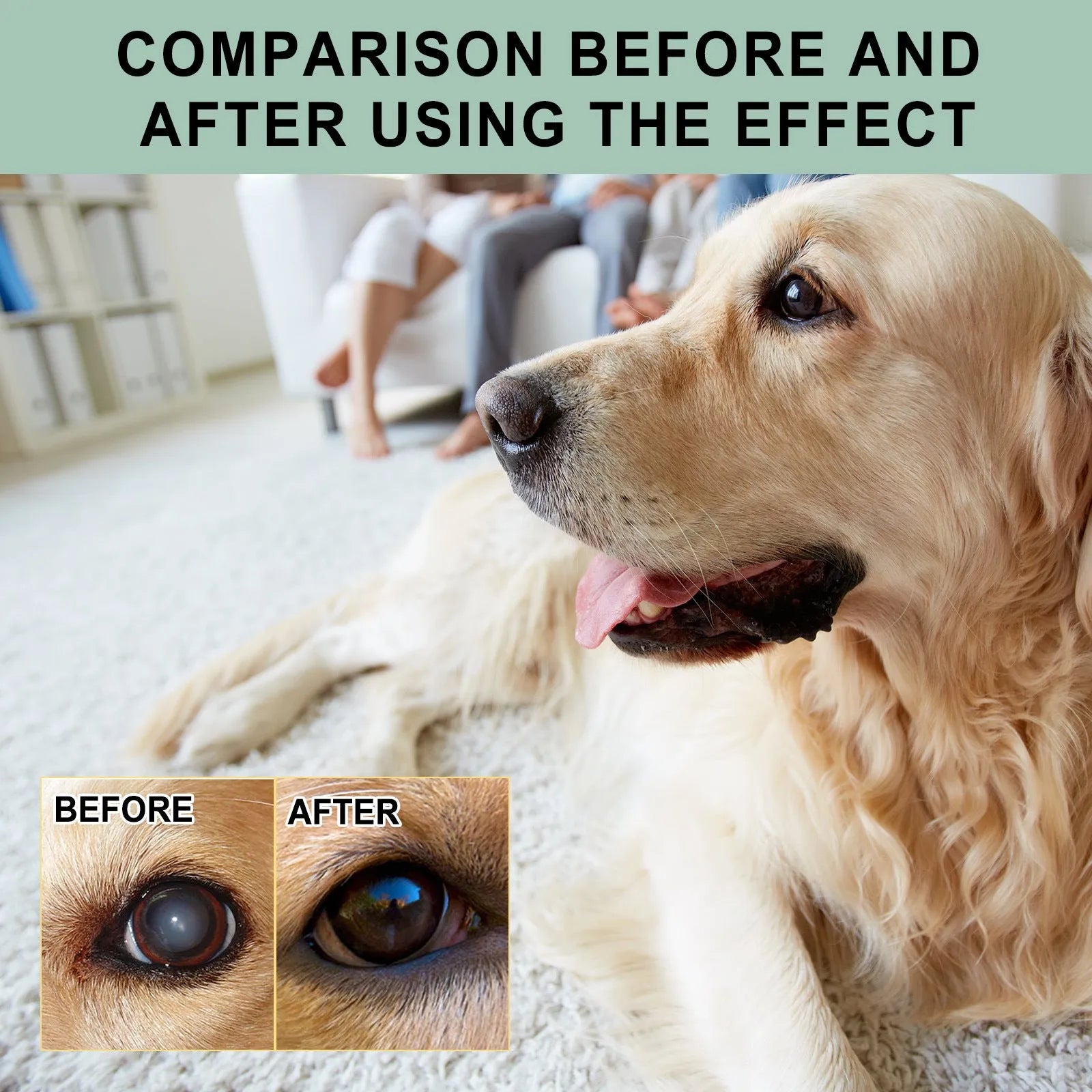 Dogs And Cats Eye Care Eye Drops 100ml bottle with dropper tip for pet eye cleansing