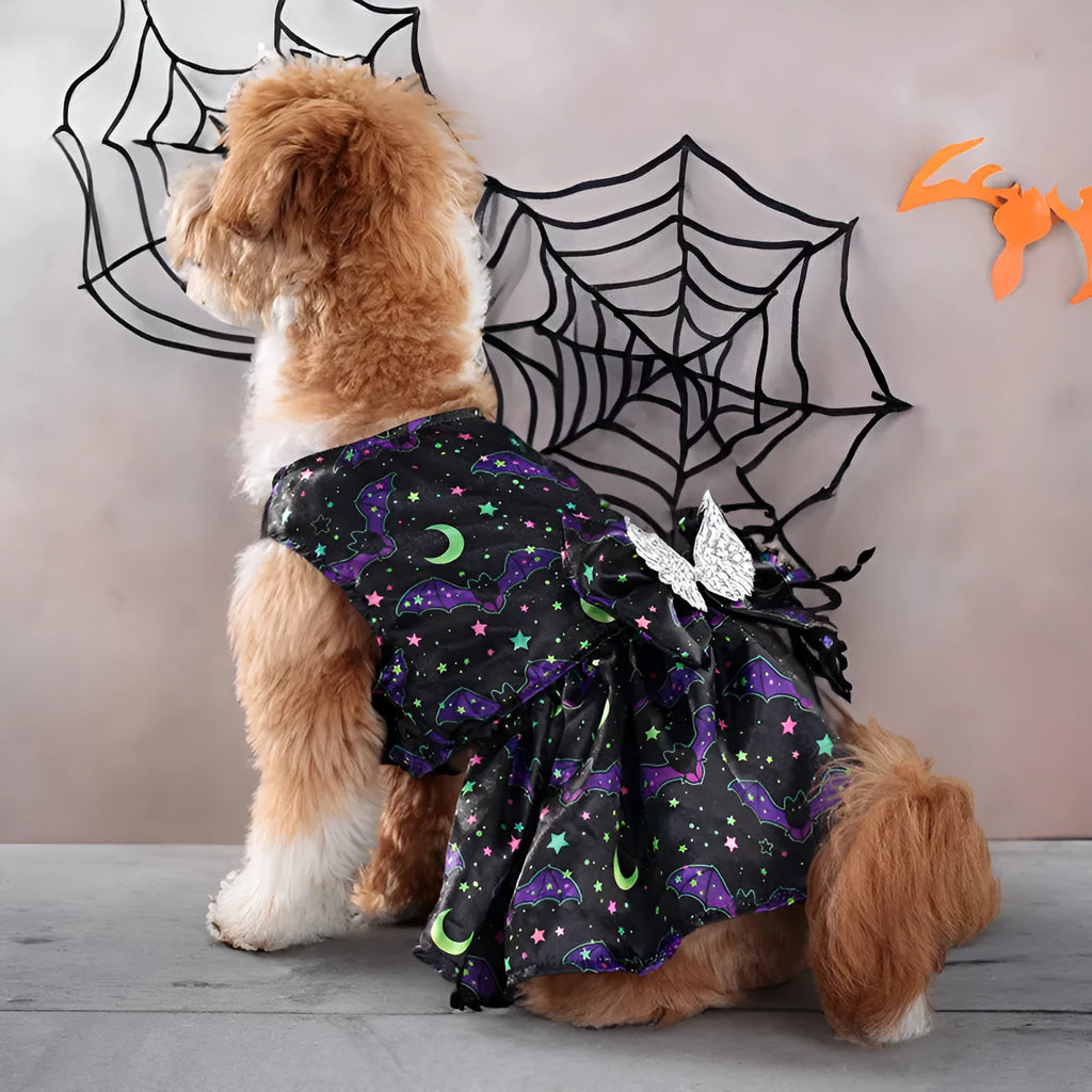 Halloween dog costume with angel wings in bright pumpkin or bright bat colours