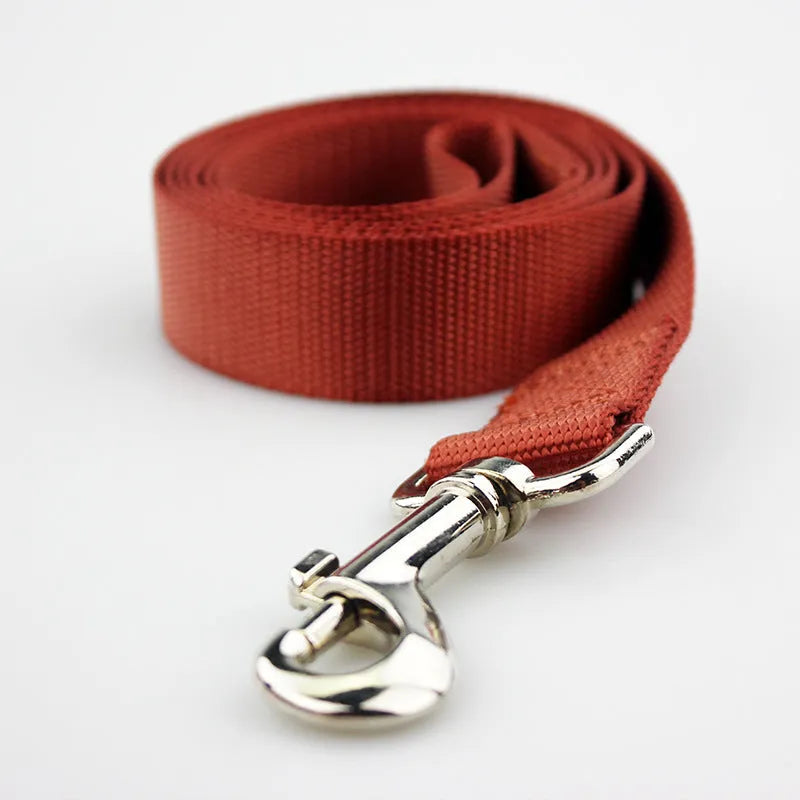 Solid colour polyester dog lead with hand-holding rope design shown in blue colour option