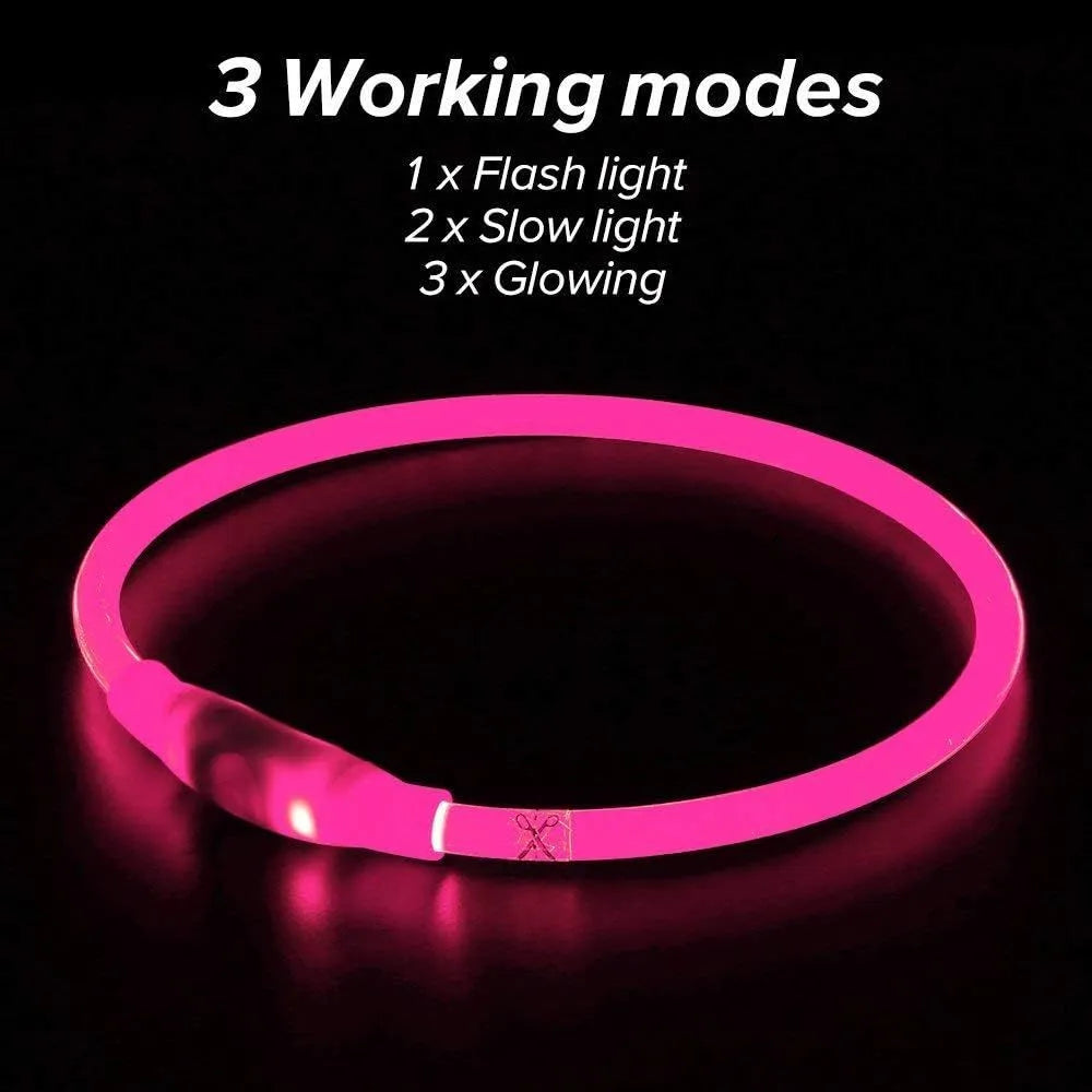 Blue LED dog collar glowing with adjustable TPU band and USB charging port visible