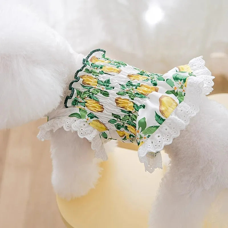 Rock yellow lemon polyester dog strap skirt showing Princess style design on mannequin