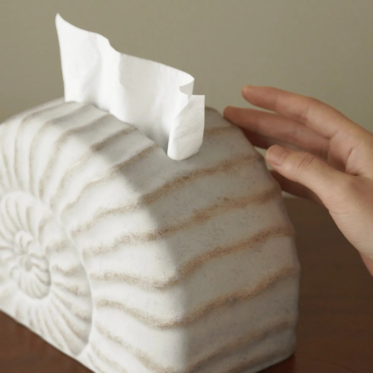 Conch ramble coloured resin decorative tissue box holder with a modern simple design.