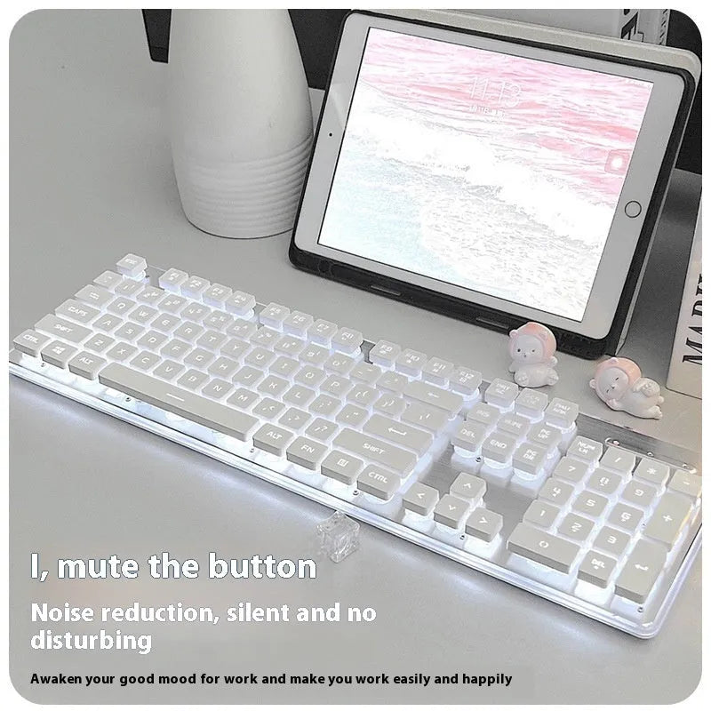 Mute mechanical keyboard with LED lighting and matching wired mouse in silver white blue colour combination