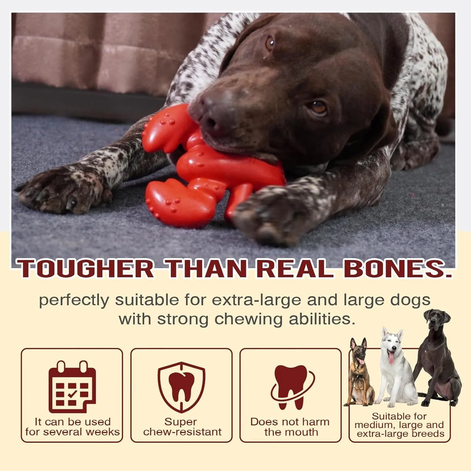 Large red dog chew toy for aggressive chewers with dental benefits