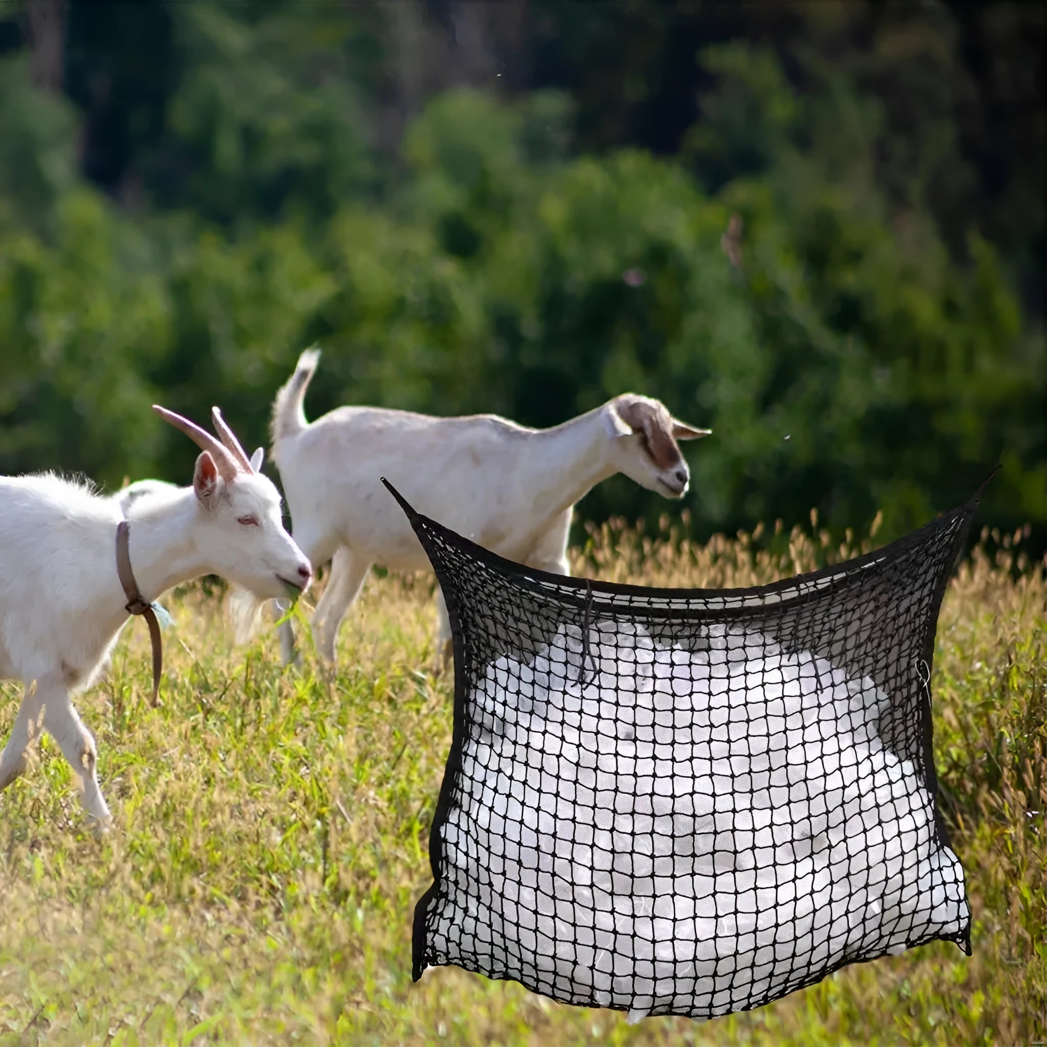 Woven PE rope grid horse feeding bag in black colour showing hanging design and weaving construction