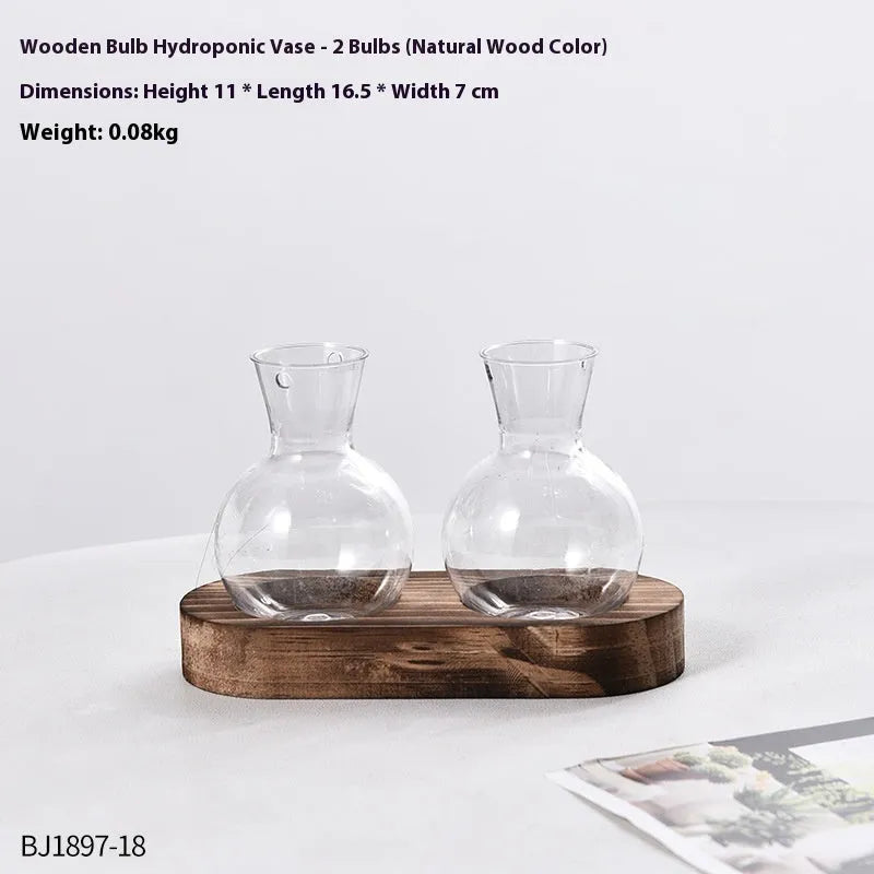 Transparent hydroponic vase in a wooden frame for modern plant display.