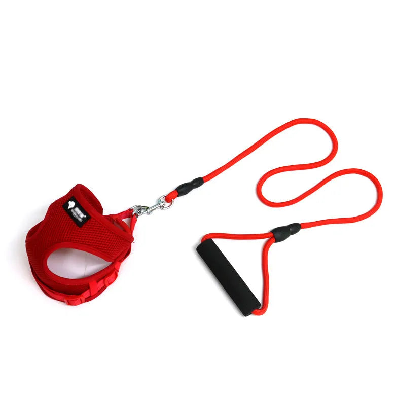 Blue dog leash and collar set with foam handle for small dogs