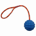 Rubber dog toy with rope knot elements in multicolour options, measuring 6x30cm