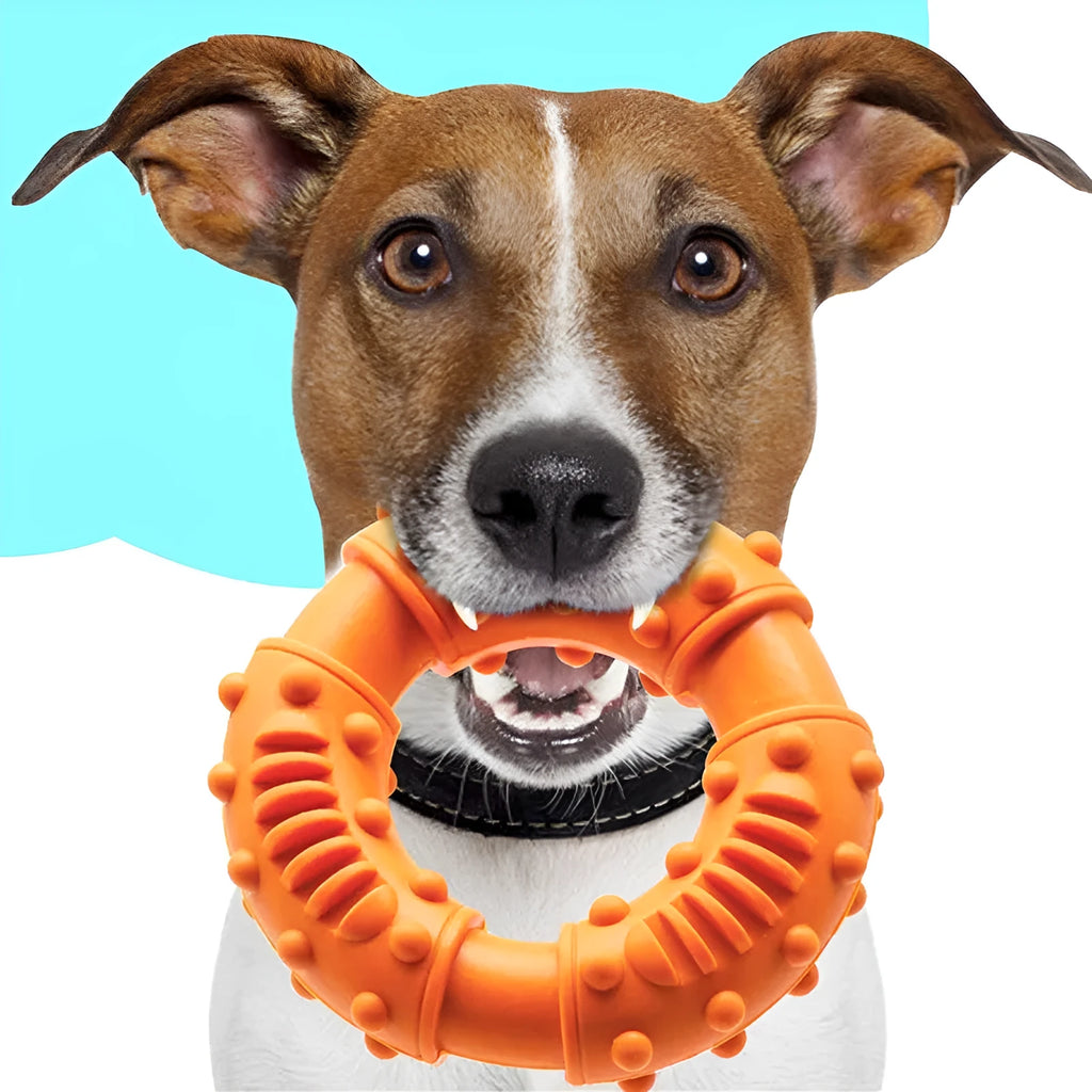 Blue hollow dog fetching stick toy on grass for play fetch
