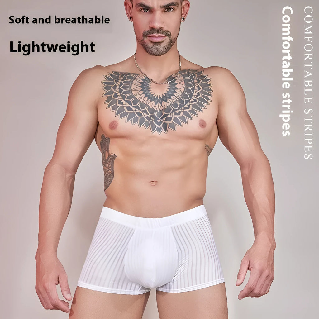 Men's striped thin transparent nylon underwear in black, white and dark grey colours