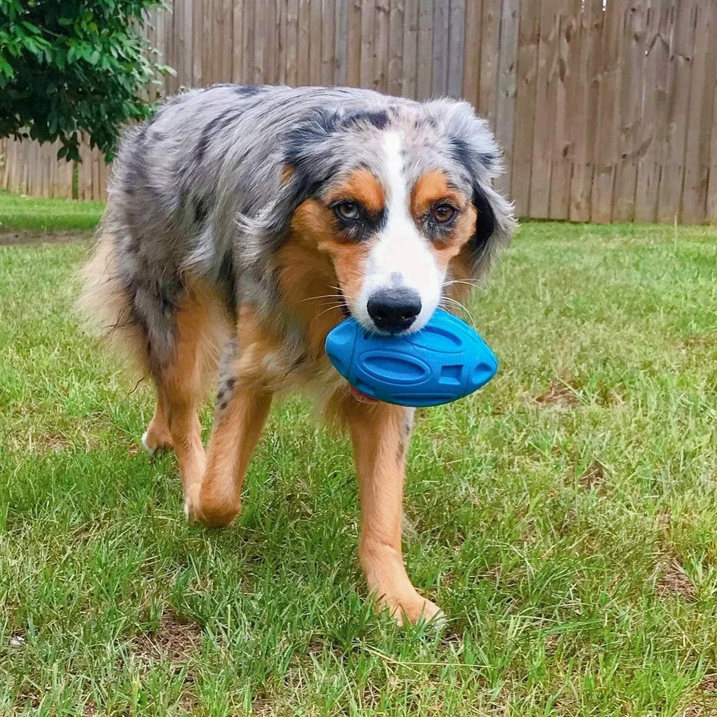 Blue green orange rubber squeaky chew ball dog toy with surface grooves for medium large breed aggressive chewers