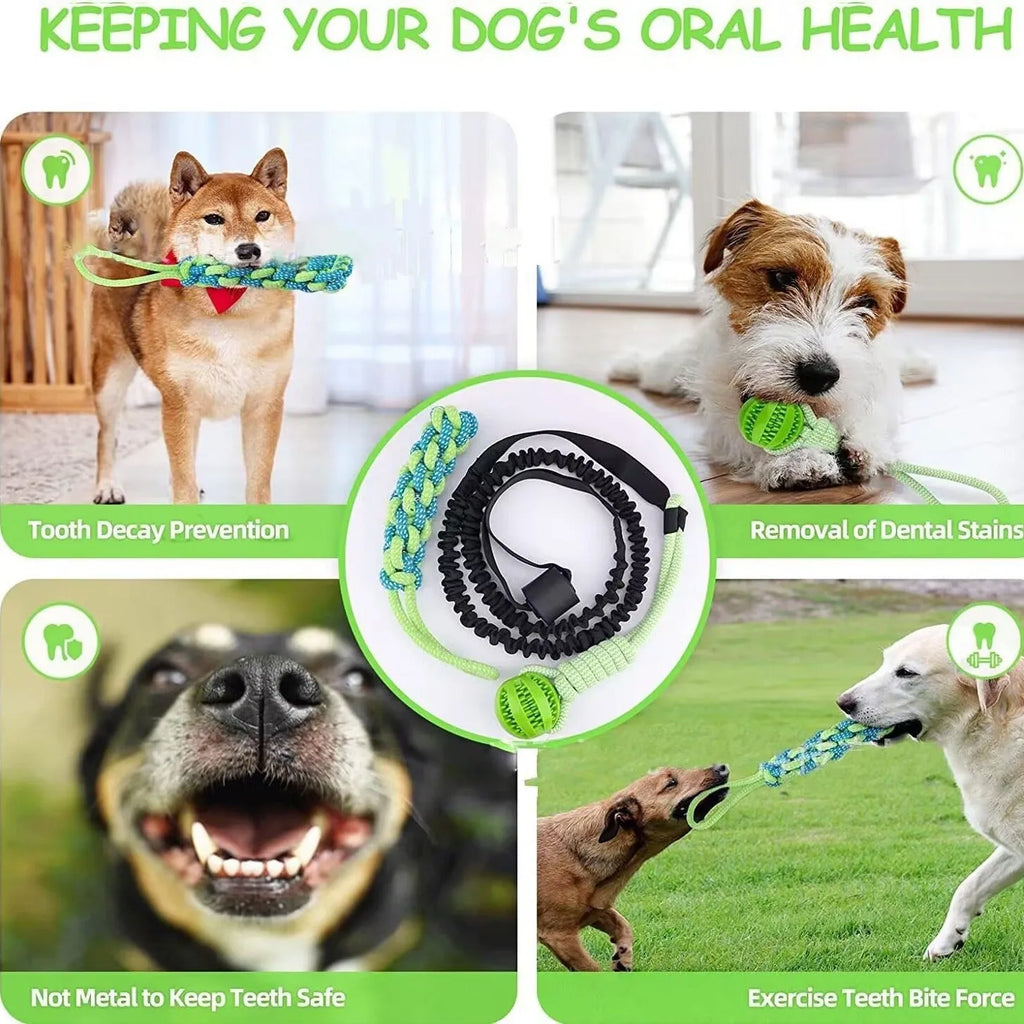 Green cotton rope dog tug toy with corncob design for bite and pull play