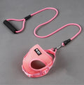 Blue dog leash and collar set with foam handle for small dogs